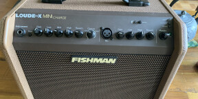Fishman Loudbox mini charge