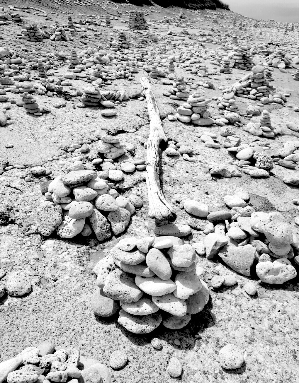 5795045.jpg 5795045.jpg