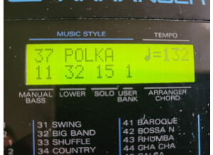 Roland PRO-E (16379)