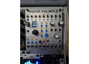 ALM Busy Circuit ALM022: Squid Salmpler (31497)