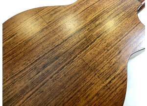 Eastman AC222CE (27413)