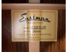 Eastman AC222CE (34239)