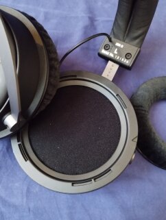 IMG 20230904 145345 IMG 20230904 145345