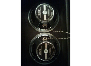 Celestion black shadow C90
