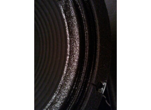 Celestion black shadow C90