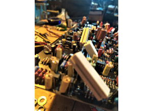 Euterpe Vertice analog filterbank (89101)