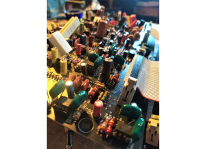 Euterpe Vertice analog filterbank (1423)