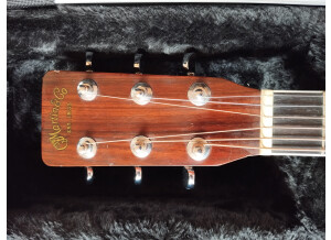 Martin & Co D-35 (75161)