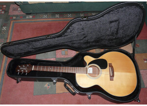 Takamine EG220SC (71462)