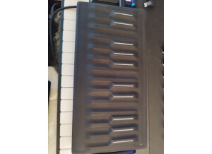 ROLI Seaboard Block (89117)