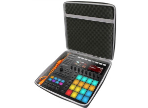 Case