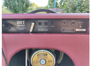 Kelt Amplification Bobcat