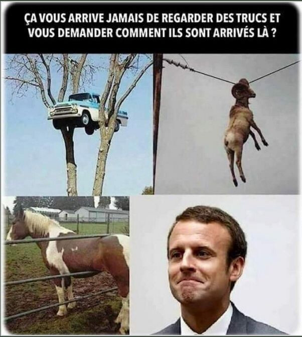 5800657.jpeg 5800657.jpeg