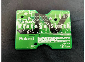 Roland SR-JV80-99 Experience (73994)