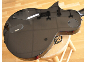 LTD EC-1000T CTM (2021) (59797)