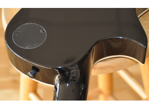 LTD EC-1000T CTM (2021) (23855)