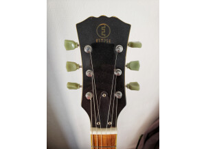 Elypse Guitars LP standard (54862)