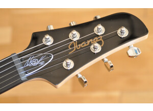 Ibanez NDM5 Noodles Signature (52402)