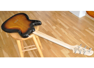 Ibanez NDM5 Noodles Signature (61329)