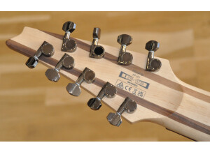 Ibanez RG9PB Axe Design Lab (69745)