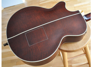 Takamine TB10 (93482)