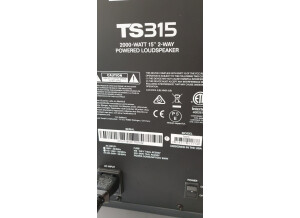 Alto Professional TS315