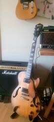 Ibanez AGS83B