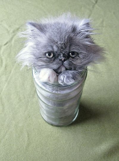 5802749.jpg 5802749.jpg