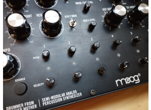 Moog Music DFAM (Drummer From Another Mother) (62344)
