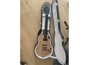 Gibson Les Paul BFG (69782)
