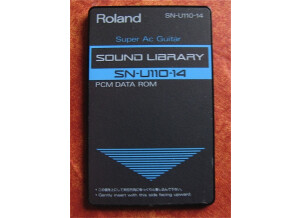 Roland SN-U110-12 : SAX &amp; TROMBONE