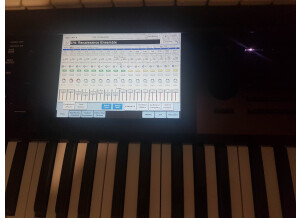 340065545 243964924859016 1311815237531918149 n