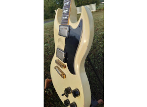 Gibson SG Standard (54641)