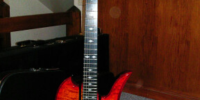 Vds MockingBird ST neuve + housse