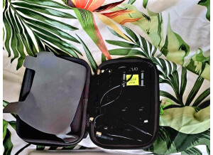 Screenshot 20230912 122318 WhatsApp