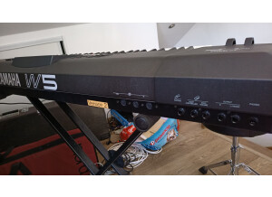 Yamaha W5 (16431)
