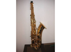 Sytrus Saxophone