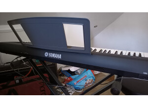 Yamaha NP-30 (10933)