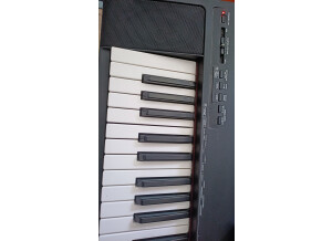 Yamaha NP-30 (58397)