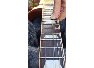 Gibson Les Paul Standard DC