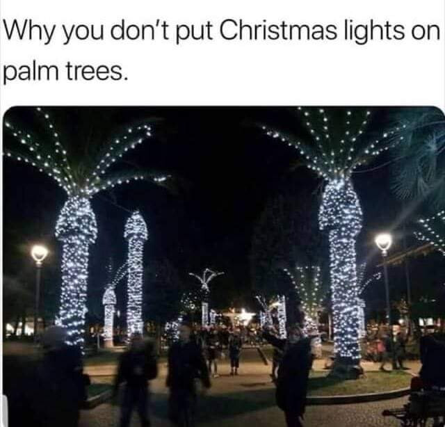 5805777.jpg 5805777.jpg