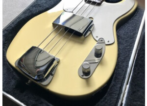 Fender Mike Dirnt Precision Bass (74223)
