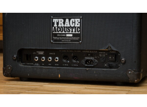 Trace Acoustic TA 300