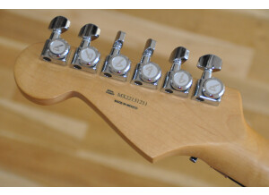 Stratocaster Tom Morello Signature (13)