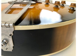 Gibson ES-175 Vintage (5735)