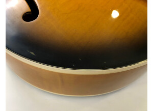 Gibson ES-175 Vintage (66019)