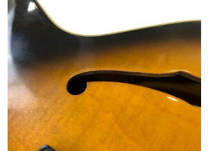 Gibson ES-175 Vintage (15301)