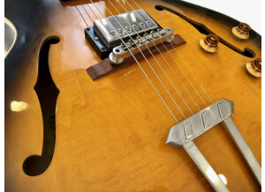 Gibson ES-175 Vintage (76307)