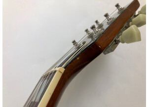 Gibson ES-175 Vintage (8059)