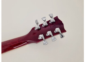 Gibson Les Paul Signature T (80661)